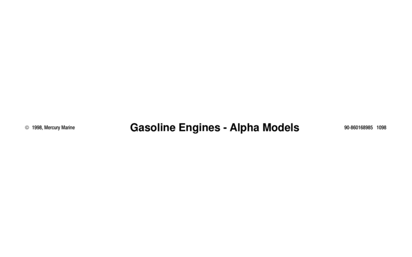 Mercury V-6 series User manual