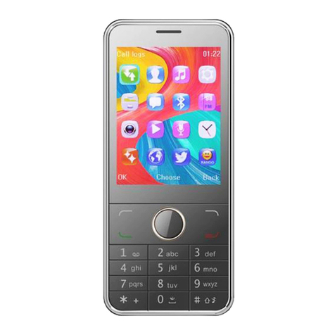 E Star A28 DUAL SIM User manual