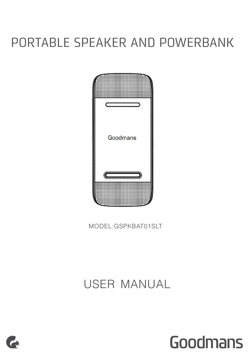 Goodmans GSPKBAT01SLT User manual