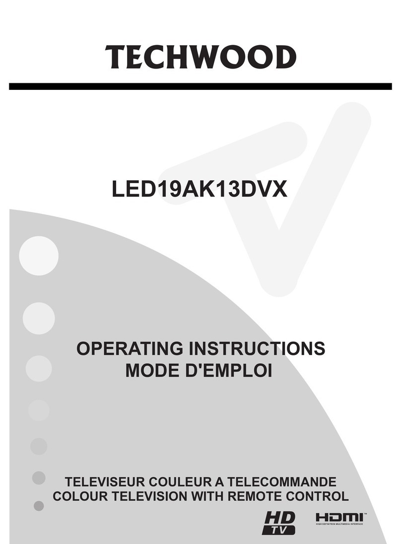 TECHWOOD LED19AK13DVX User manual