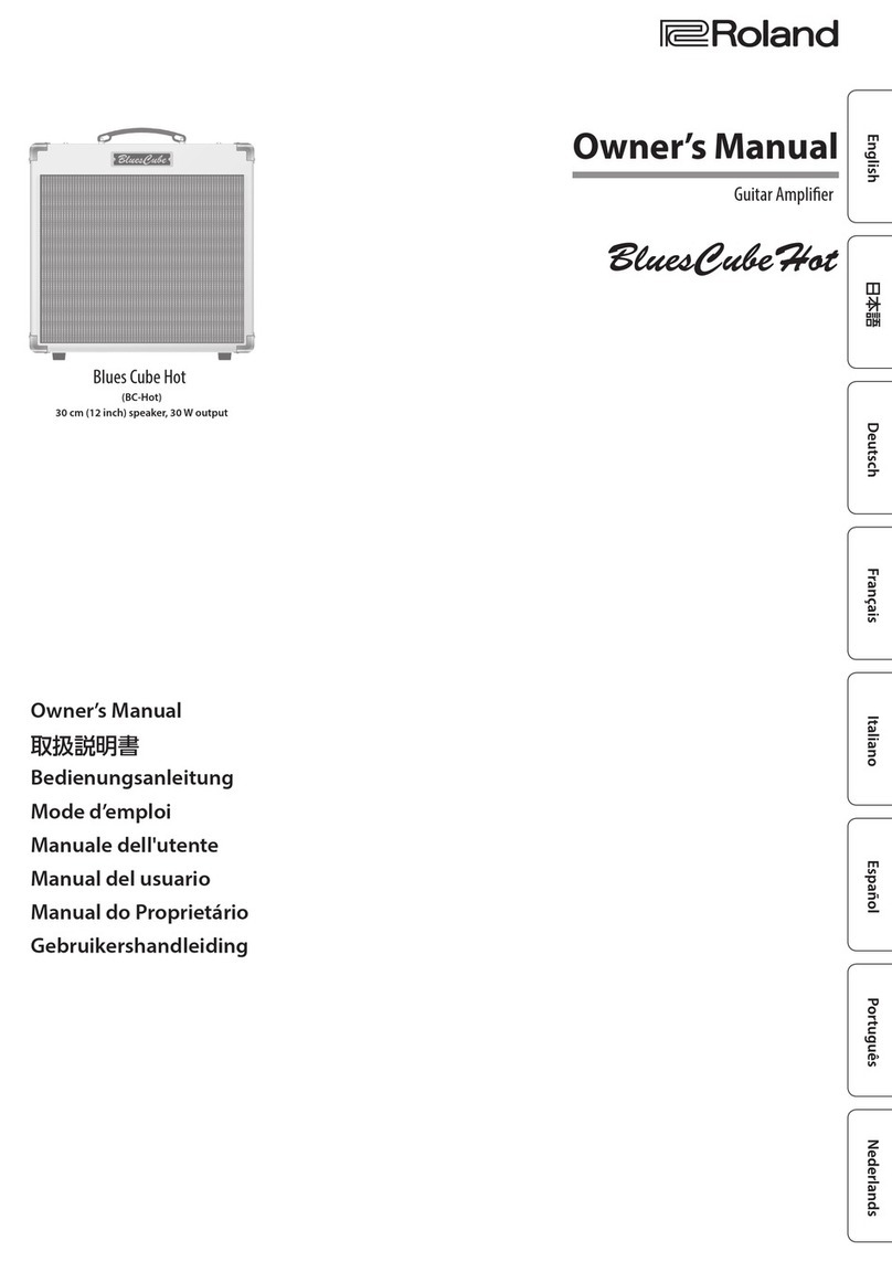 Roland Blues Cube Hot User manual