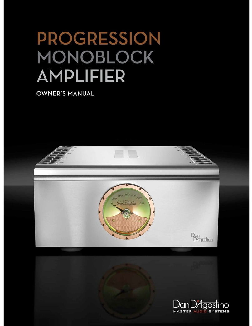 Dan D'Agostino Monoblock amplifier owner's manual