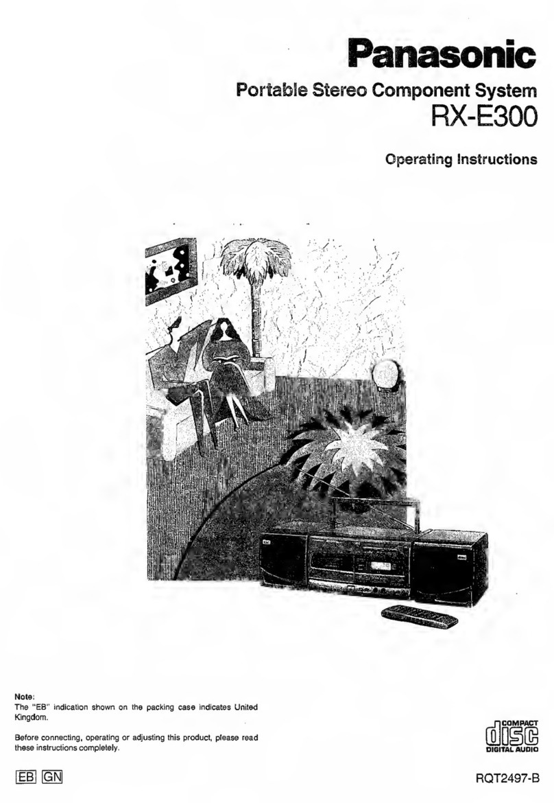 Panasonic RX-E300 User manual