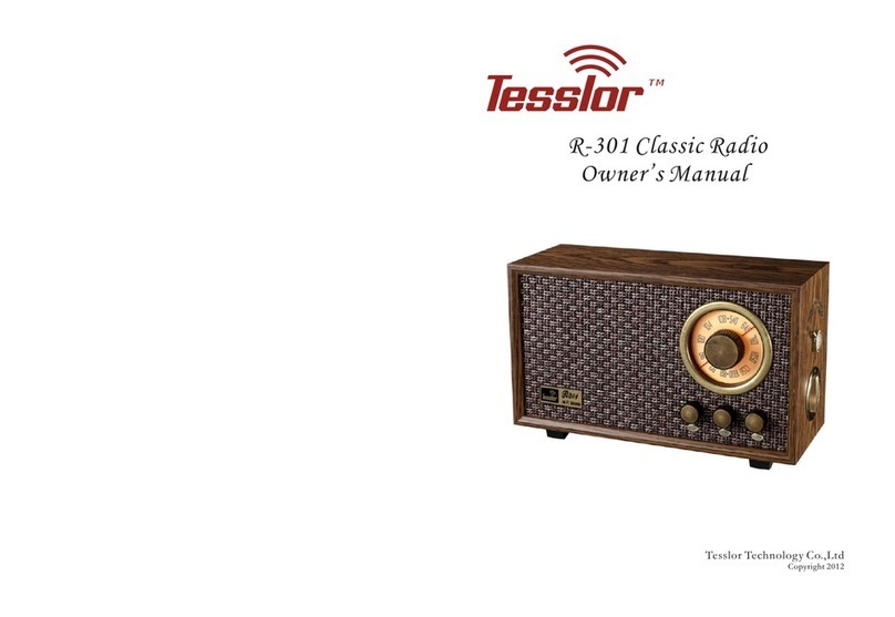 Tesslor Technology R-301 owner's manual