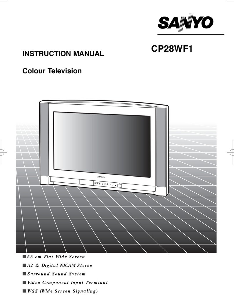 Sanyo CP28WF1 User manual Sanyo CP28WF1 User manual