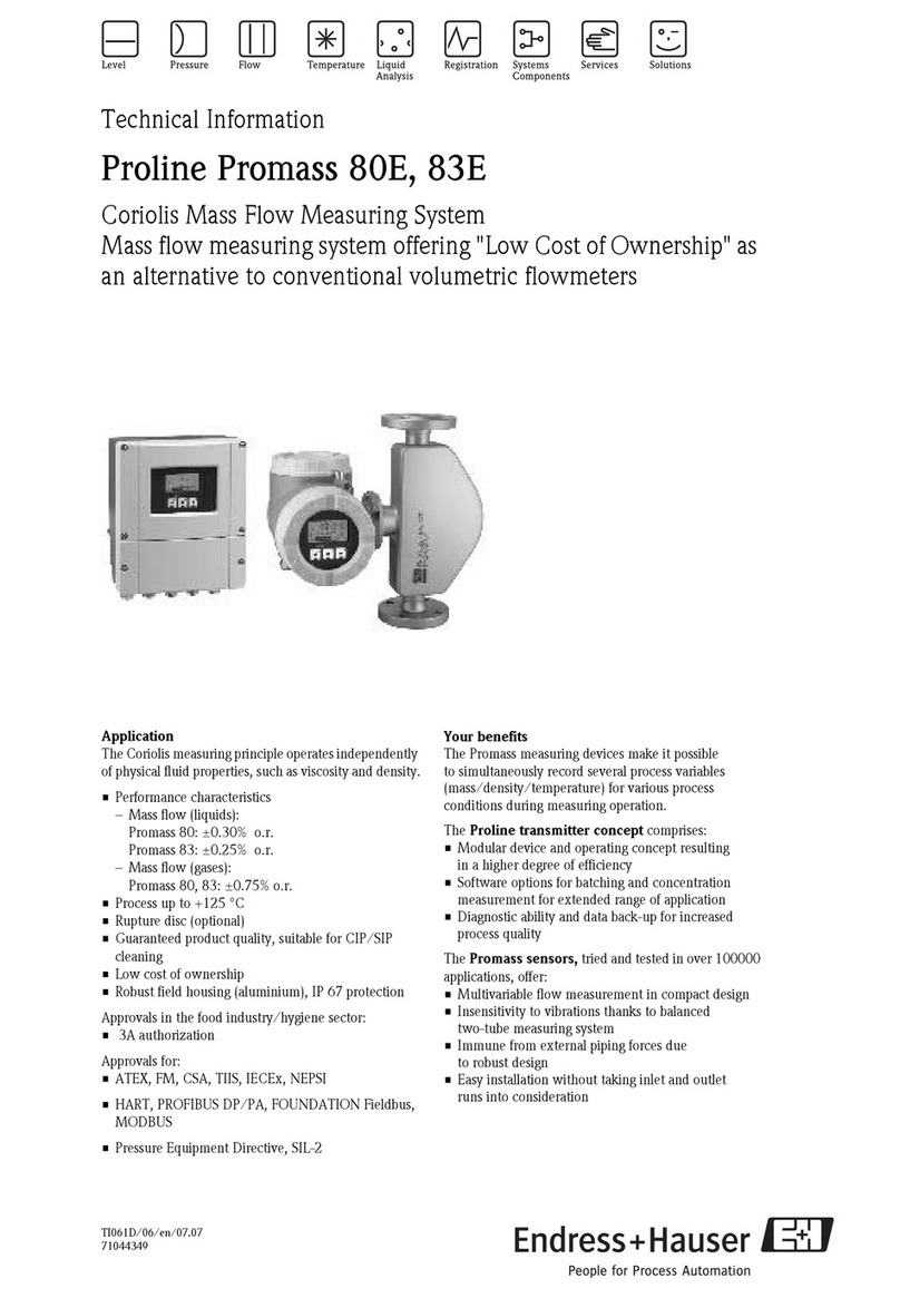 Endress+Hauser Proline Promass 80E Manual