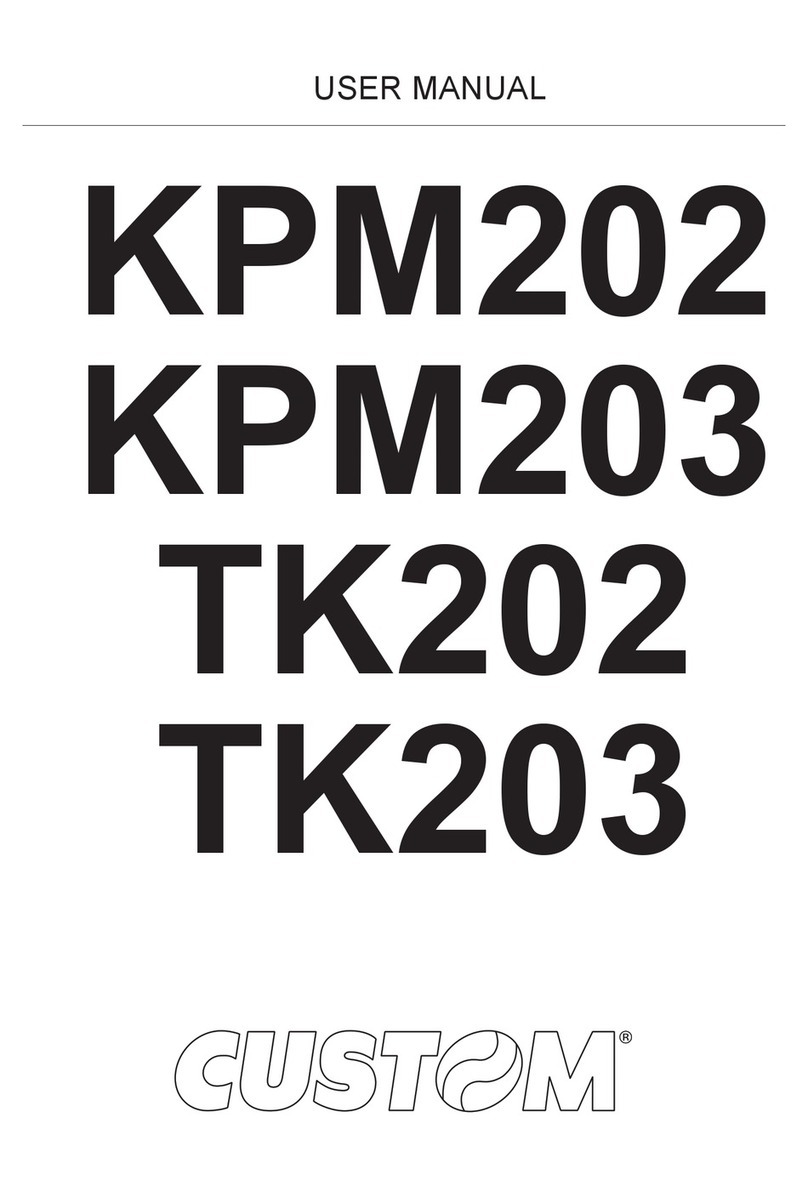 Custom Audio Electronics TK203 User manual