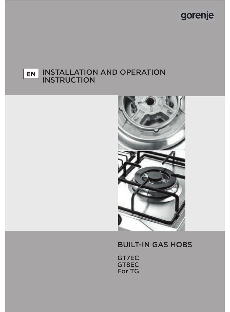 Gorenje GT8EC Owner's manual