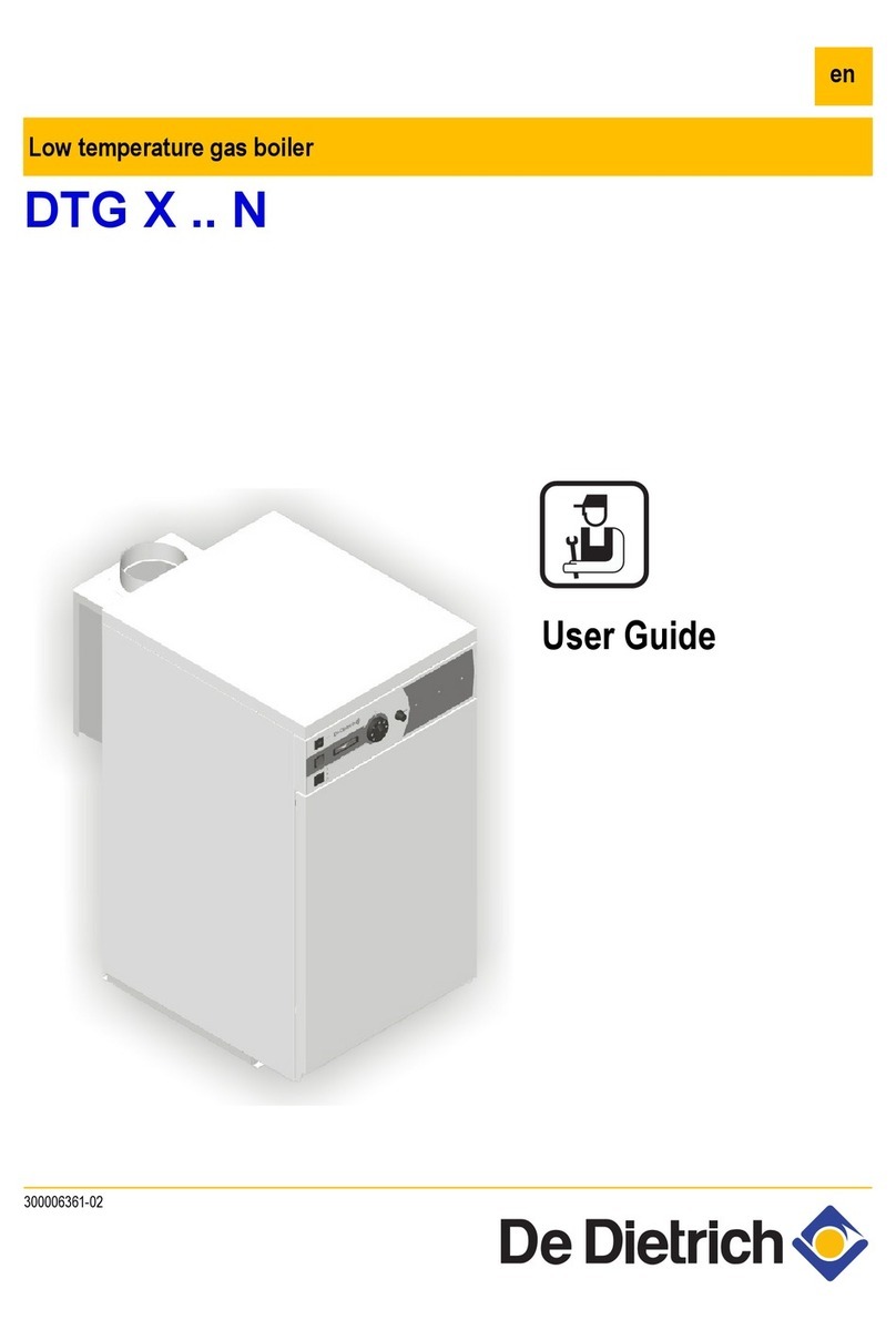 DeDietrich DTG N User manual