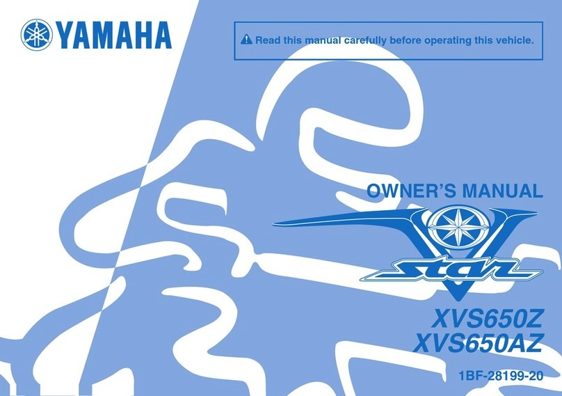 Yamaha 2010 V Star XVS650AZ owner's manual