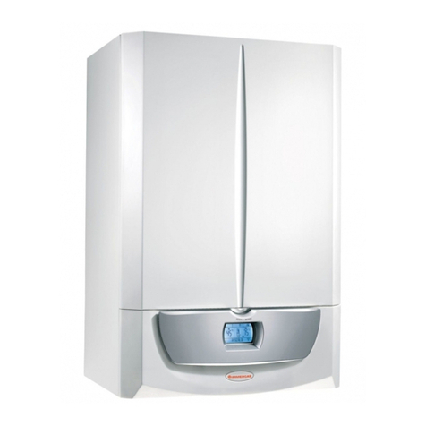 Immergas ZEUS SUPERIOR 24 Instruction and recommendation booklet