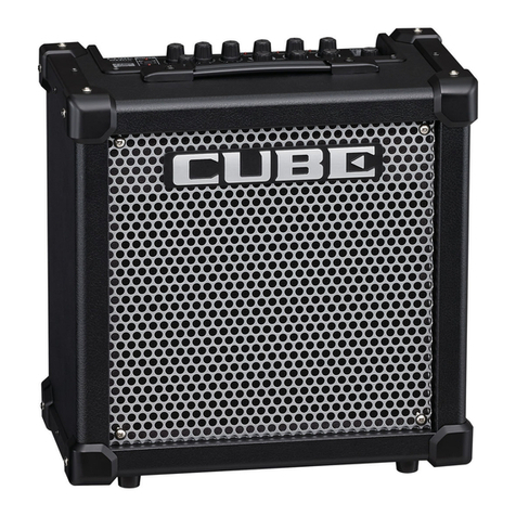 Roland CUBE-20GX Setup guide