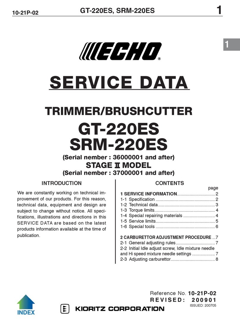 Echo GT-220ES Service data