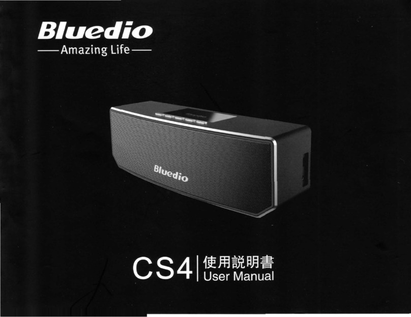 Bluedio CS4 user manual