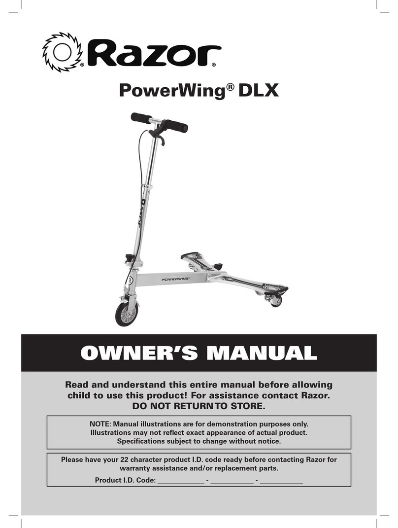 Razor PowerWing DLX User manual