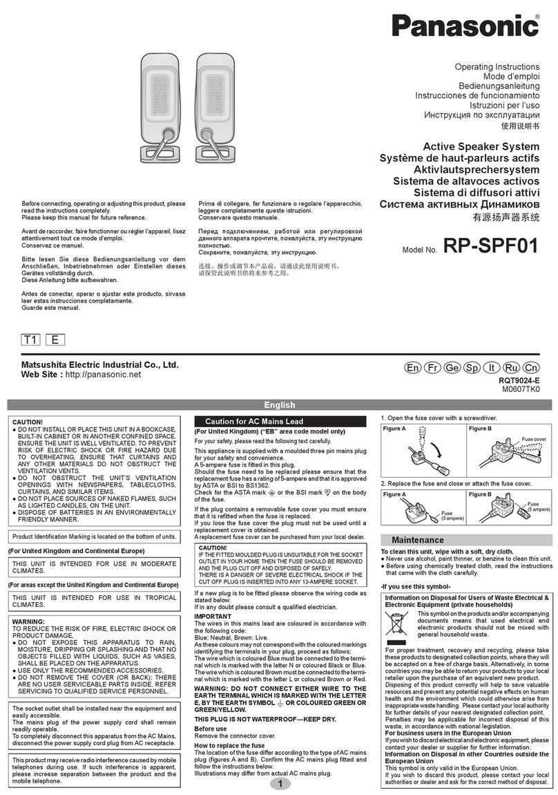 Panasonic RP-SPF01 User manual