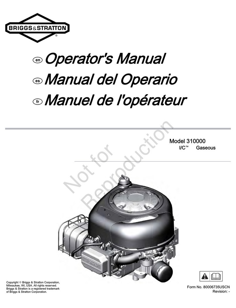 Briggs & Stratton 310000 VERTICAL SERIES User manual