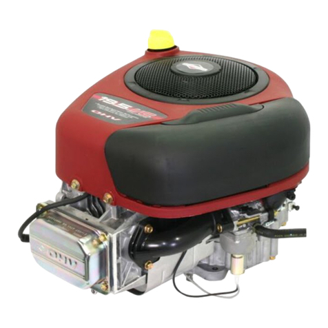 Briggs & Stratton 310000 VERTICAL SERIES User manual