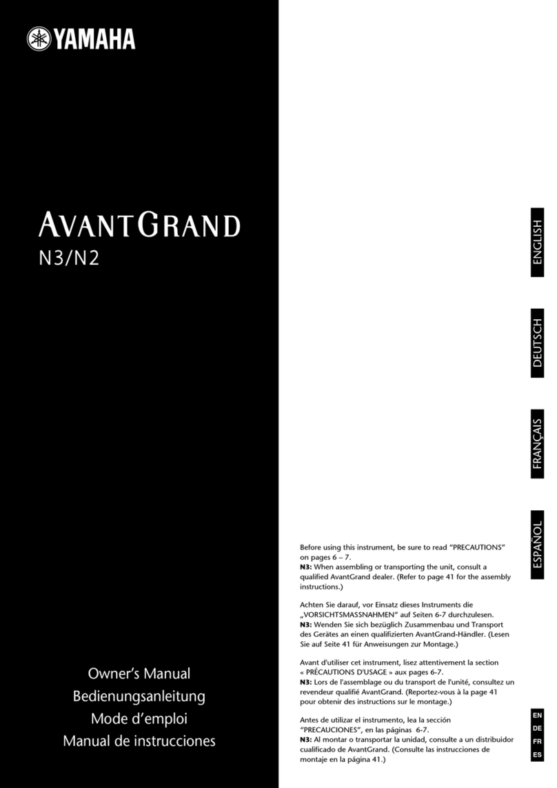 Yamaha AVANTGRAND N2 owner's manual