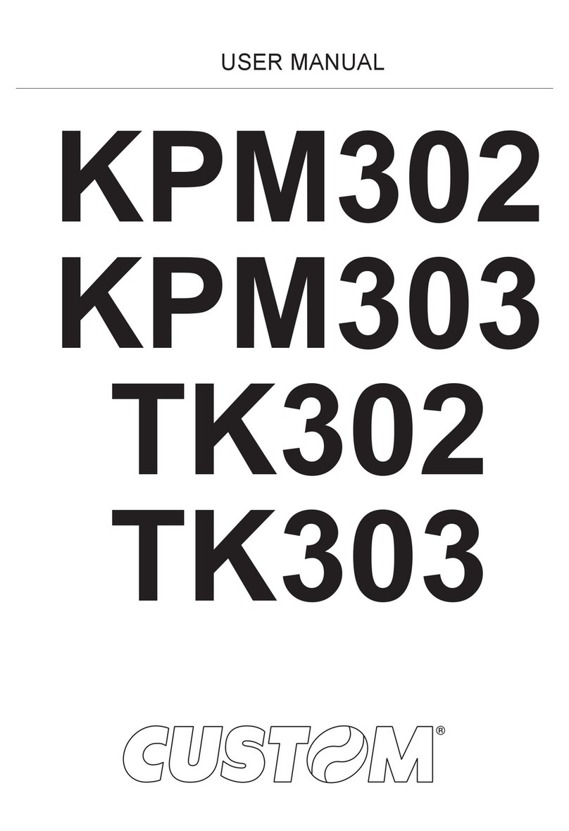 Custom Audio Electronics TK303 User manual