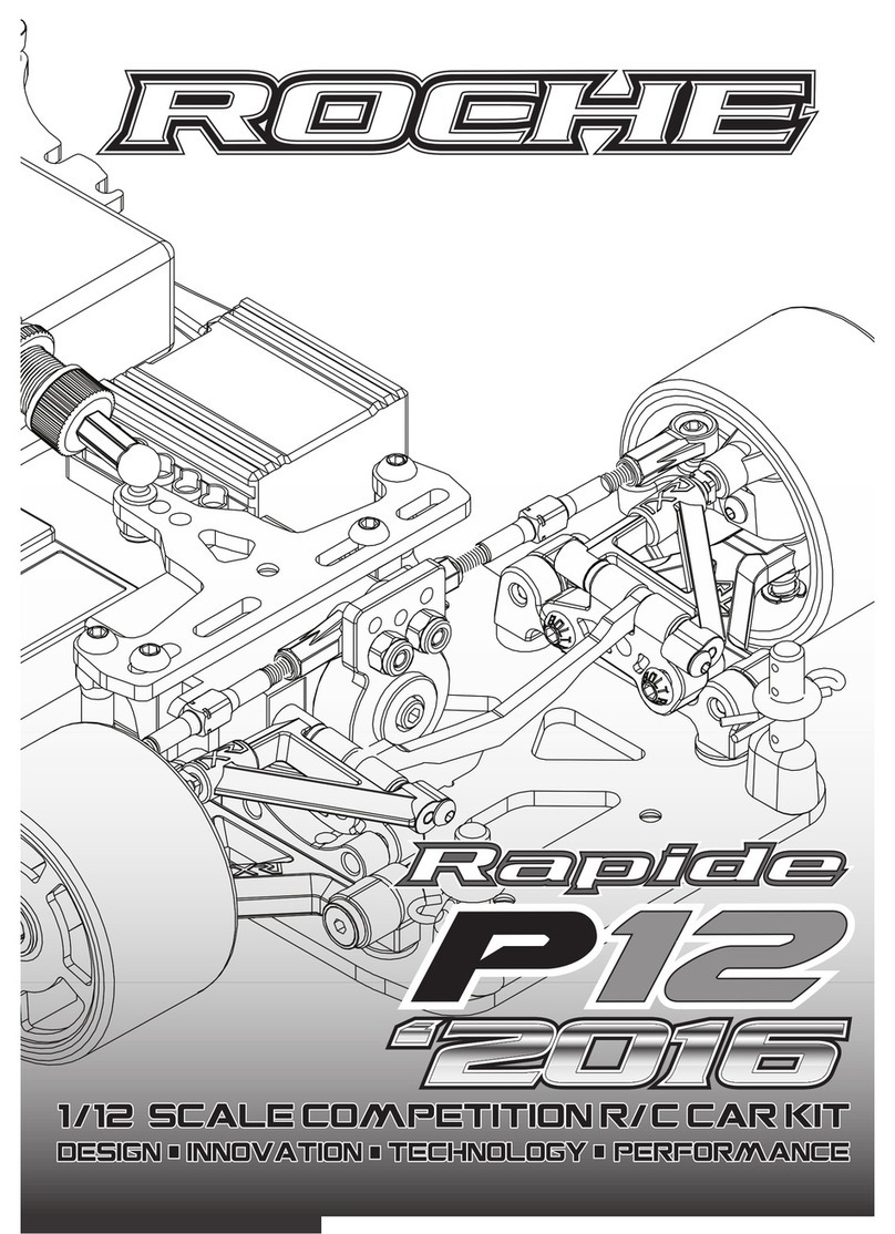 Roche rapide P12 2016 User manual