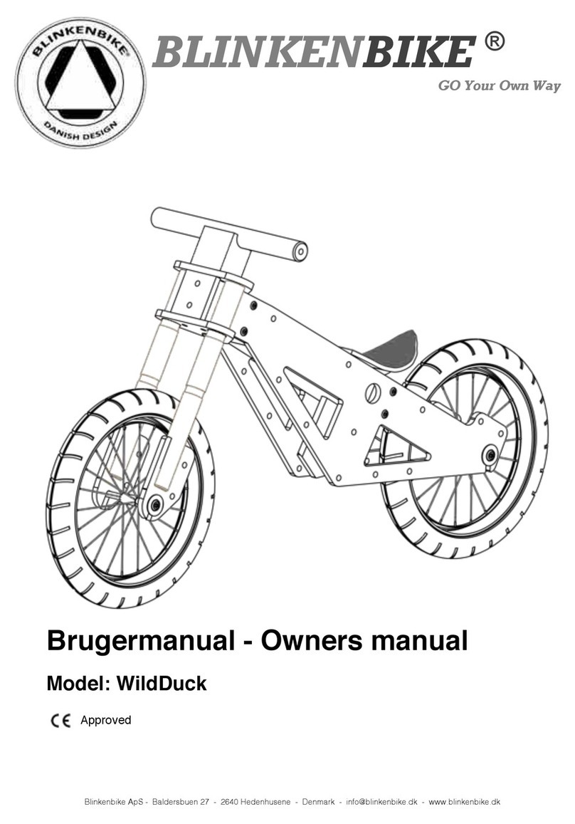 Blinkenbike WildDuck owner's manual