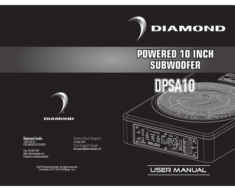 Diamond DPSA10 user manual