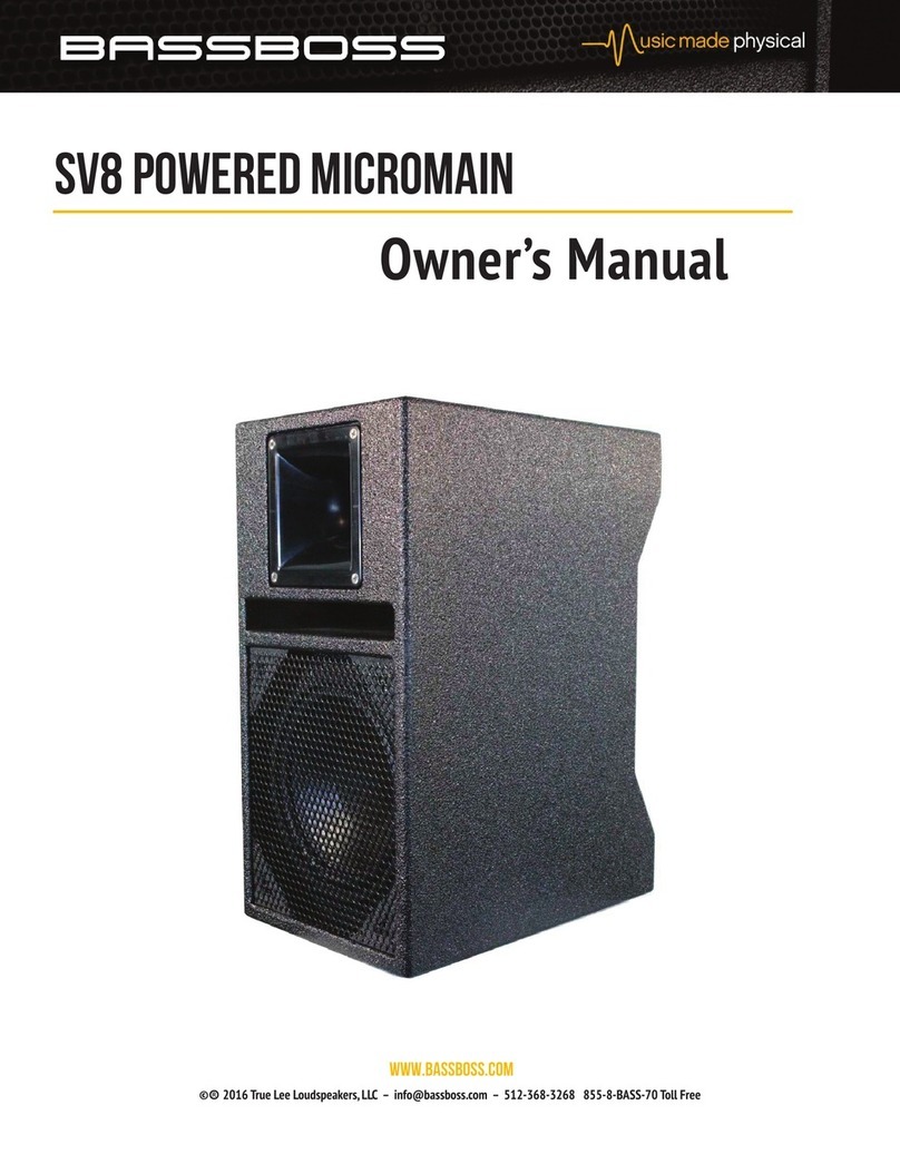 BassBoss SV8 Powered MicroMain owner's manual