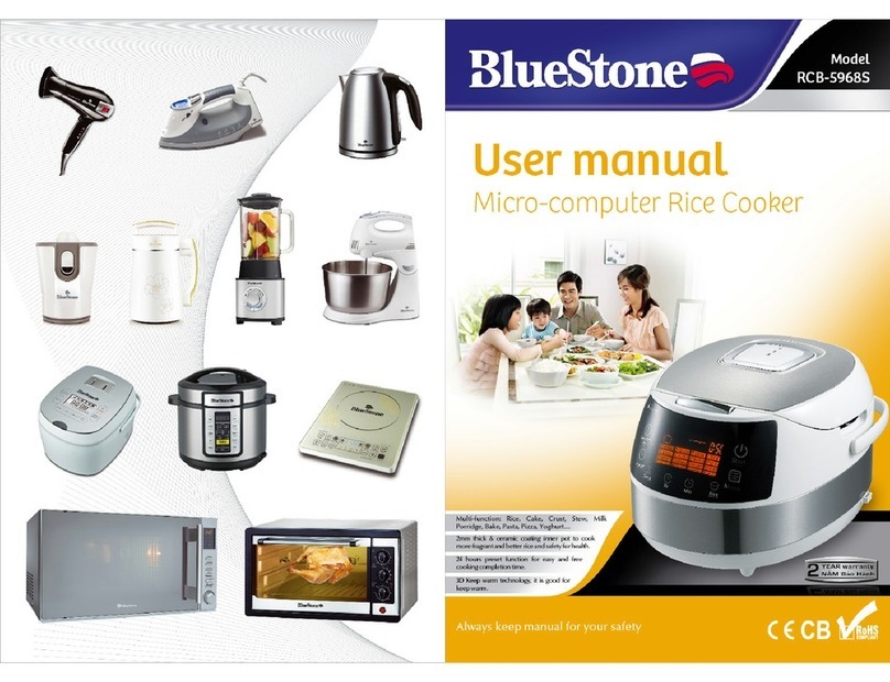 BLUE STONE RCB-5968S User manual