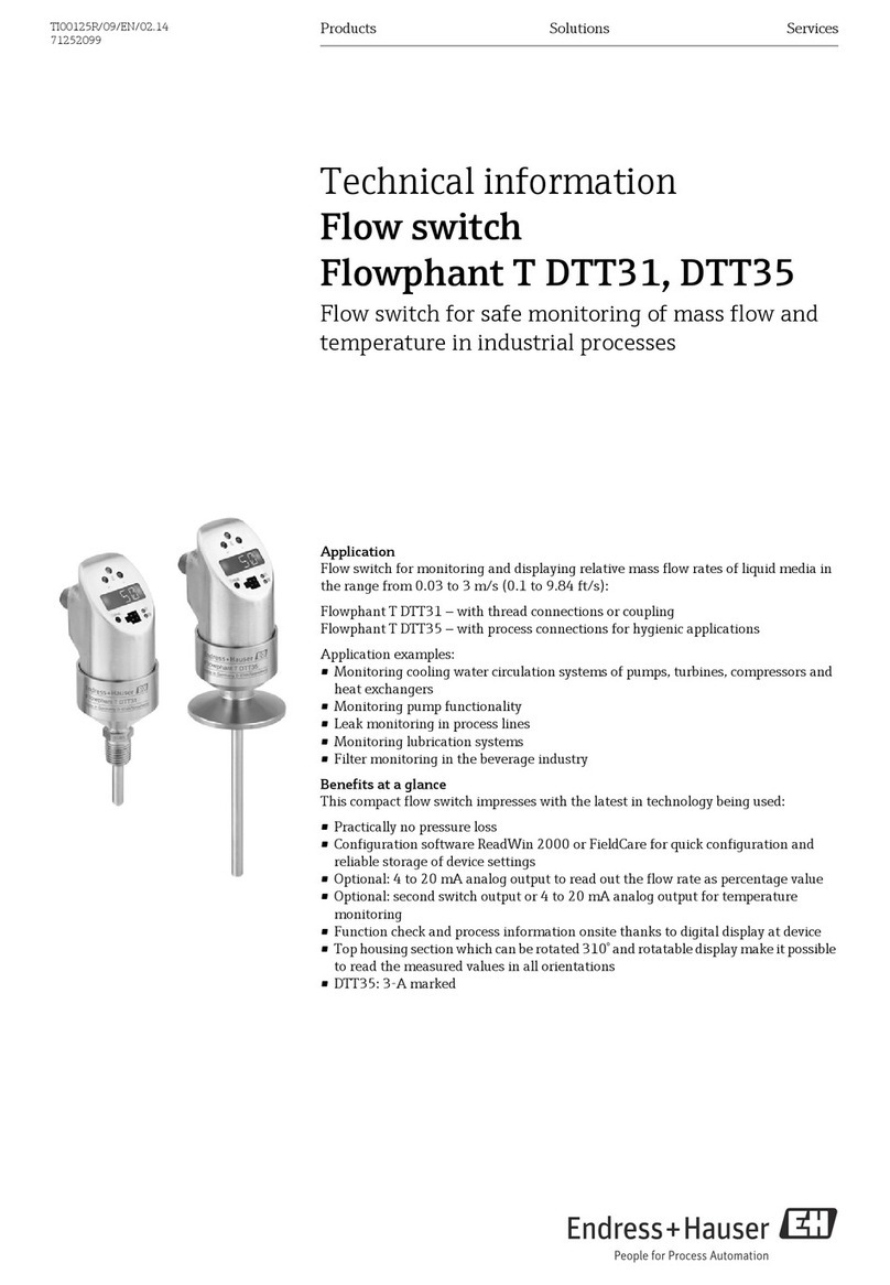 Endress+Hauser Flowphant T DTT31 Manual
