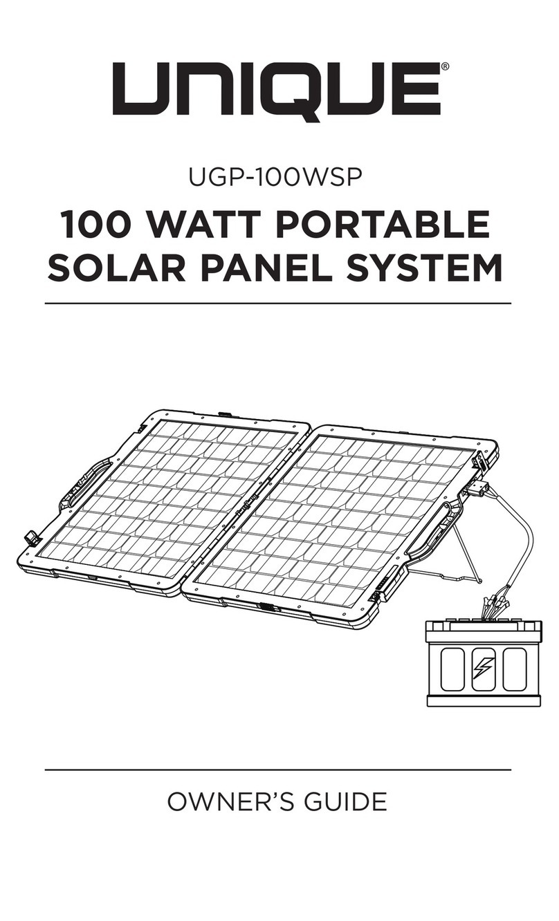 Unique UGP-100WSP User manual