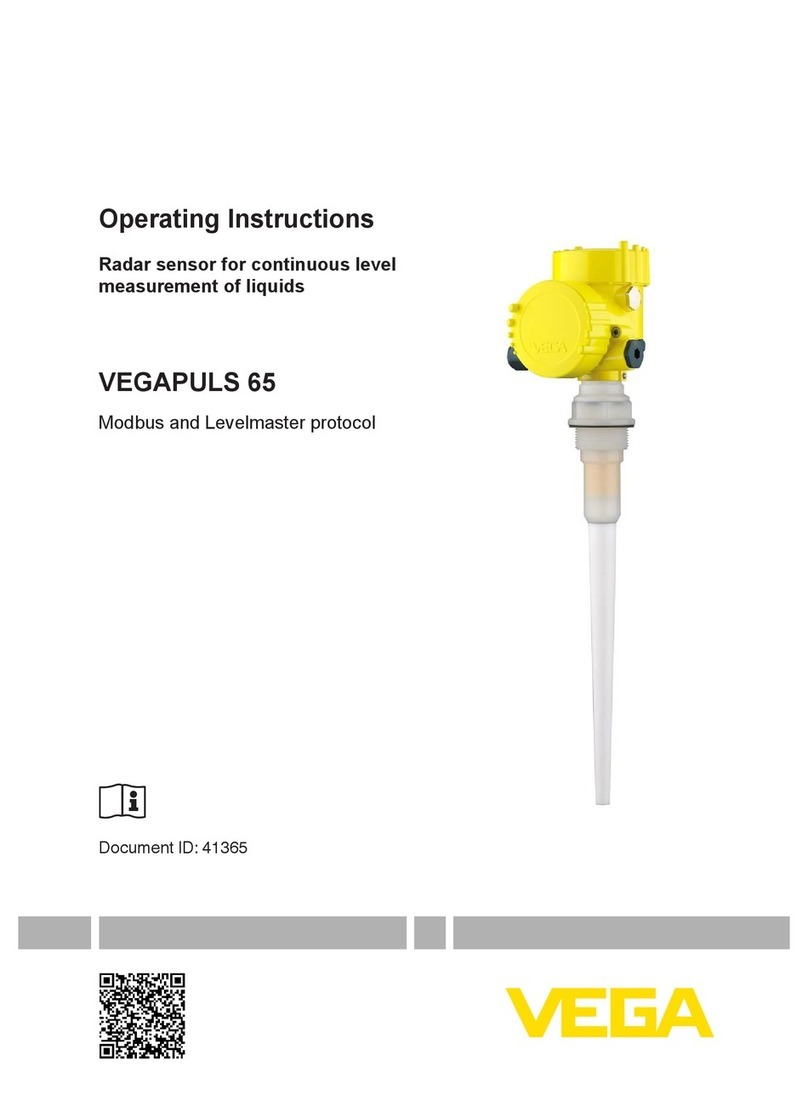 Vega VEGAPULS 65 User manual