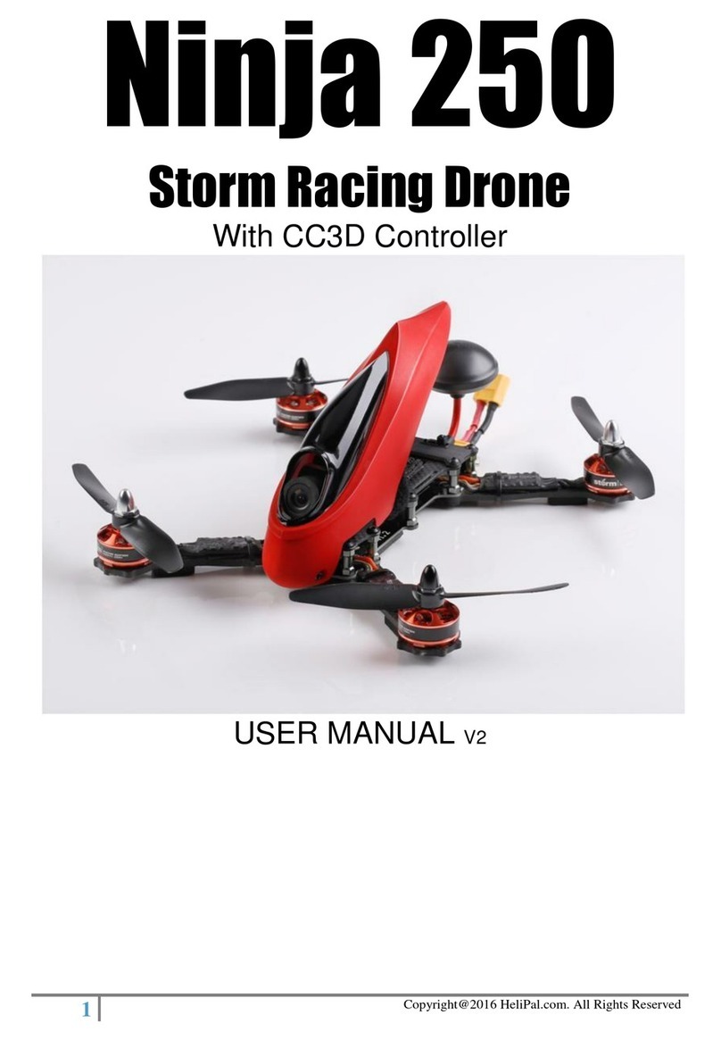 Storm Ninja 250 user manual