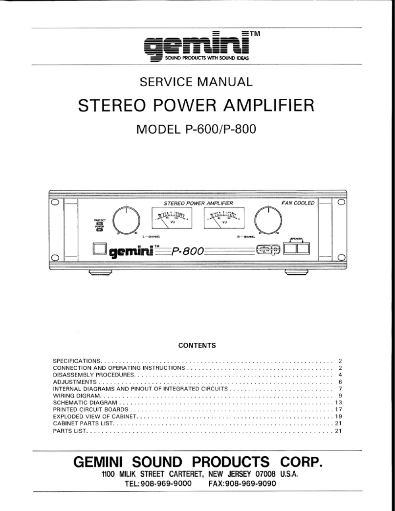 Gemini P-600 User manual