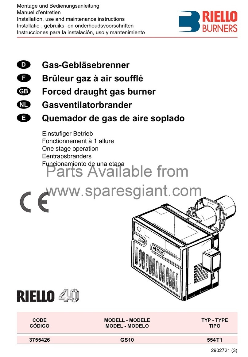 Riello GS10 Installation, use and maintenance instructions