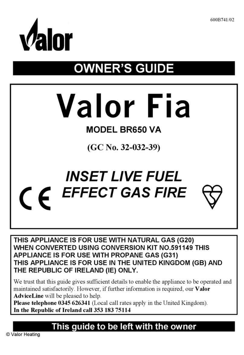 Valor FIA BR650 VA owner's guide Valor FIA BR650 VA owner's guide