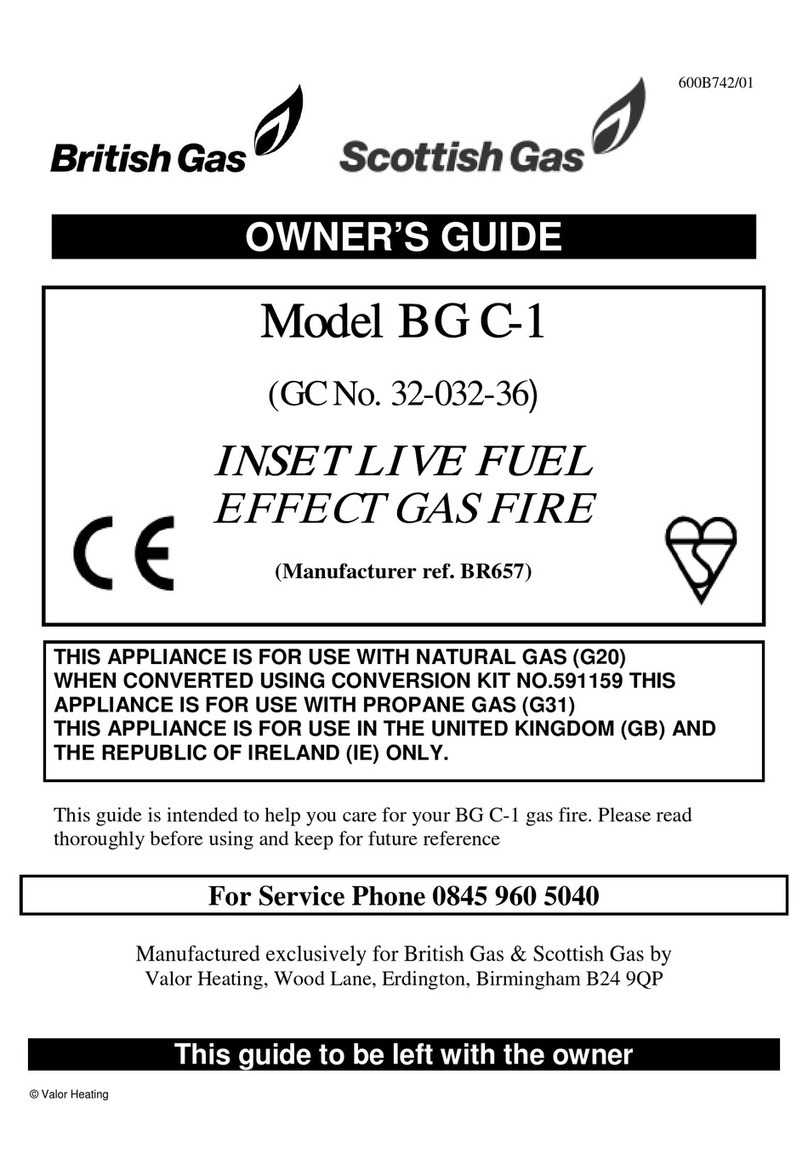 Valor BG C-1 User manual