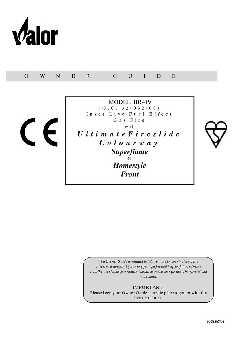 Valor Wonderfire BR419 User manual