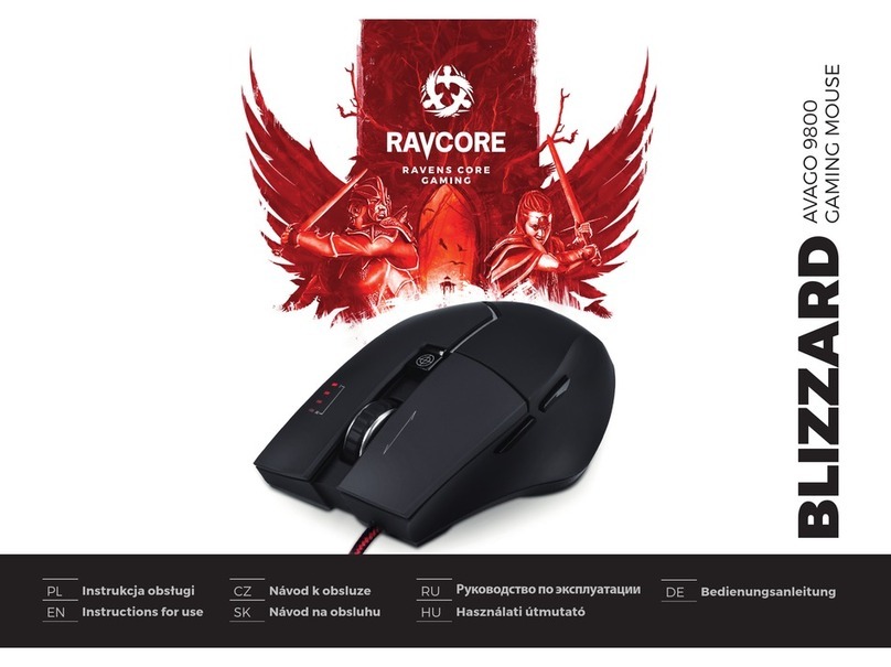 Ravcore Blizzard AVAGO 9800 Instructions for use