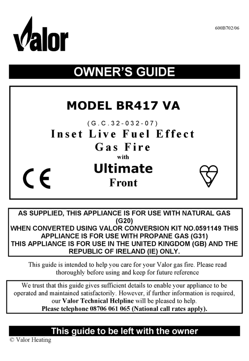 Valor BR417 VA owner's guide