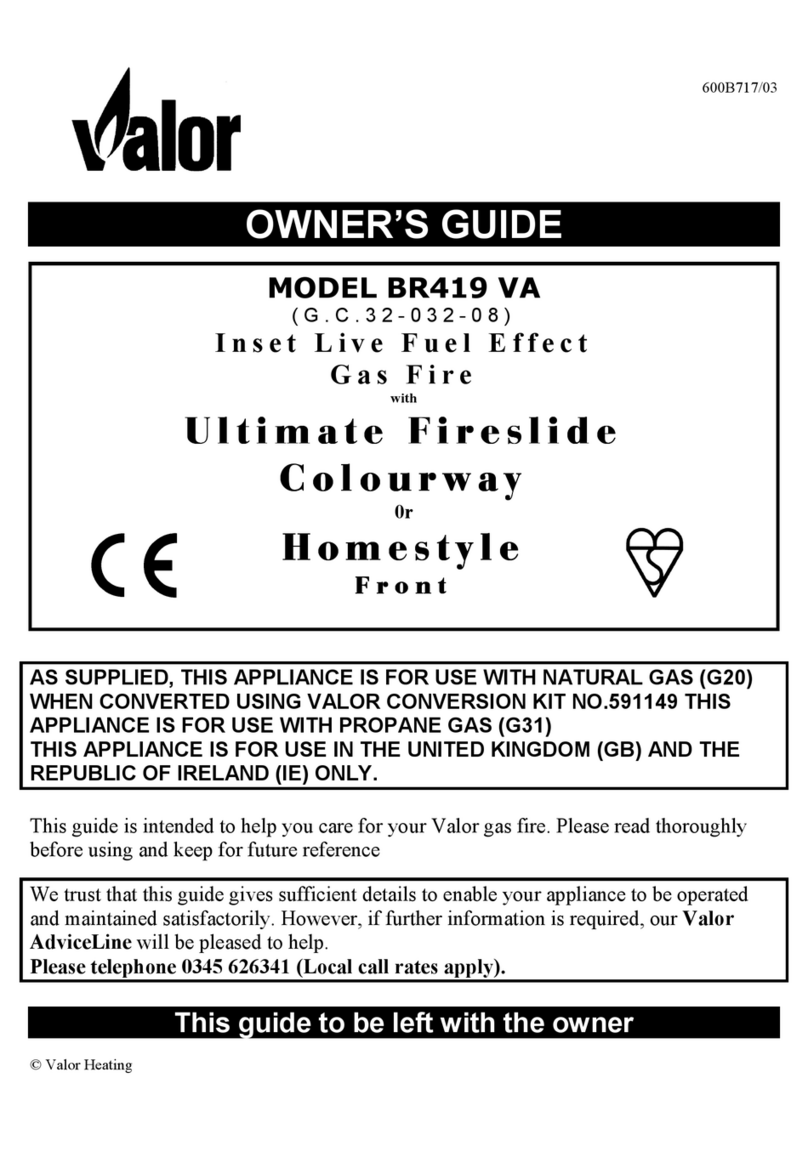 Valor BR419 VA owner's guide