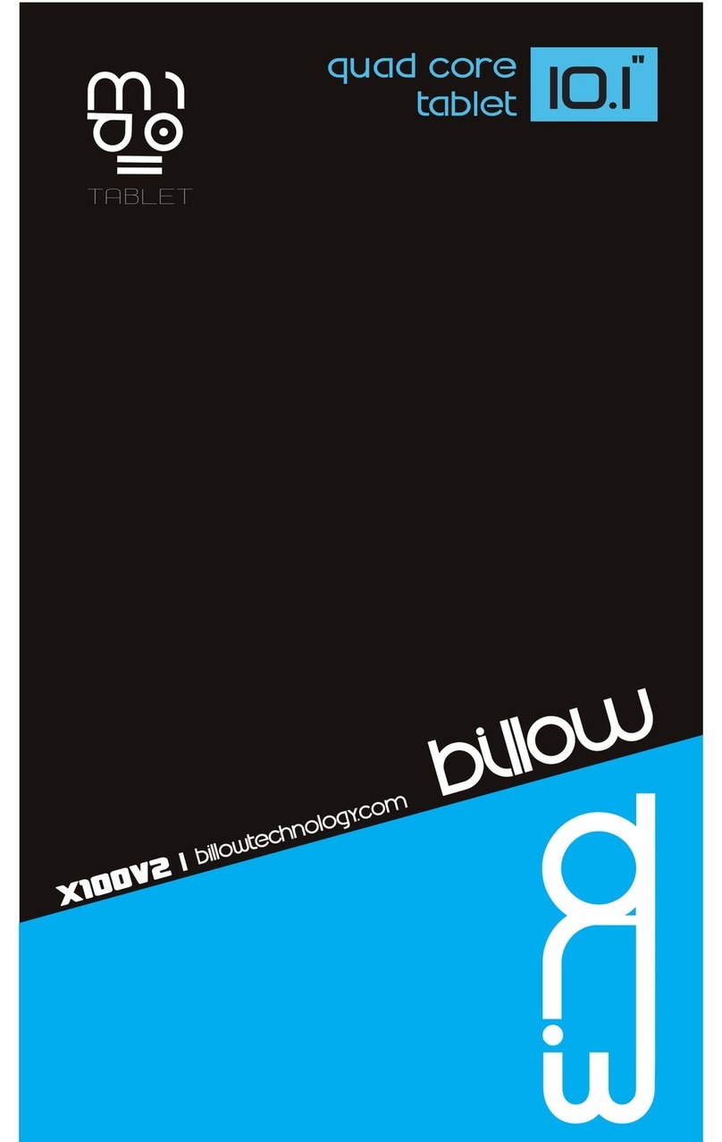 Billow X100V2 User manual