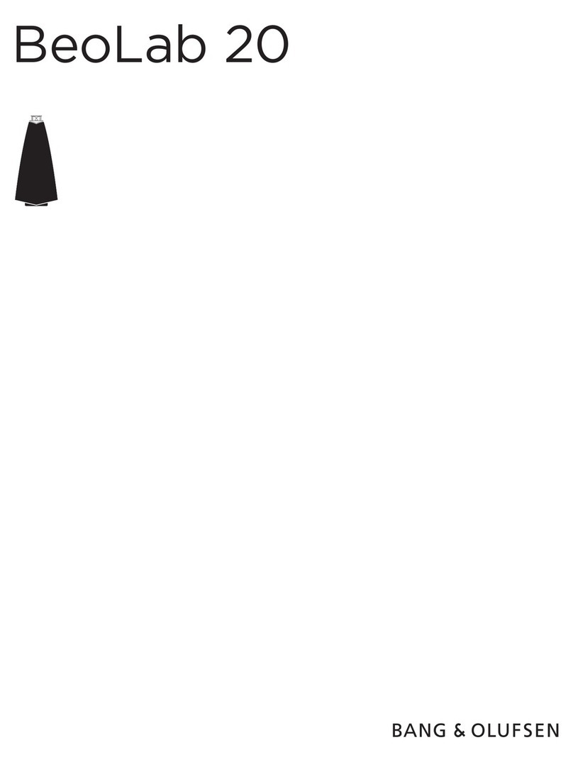 Bang & Olufsen BeoLab 20 Important safety instructions