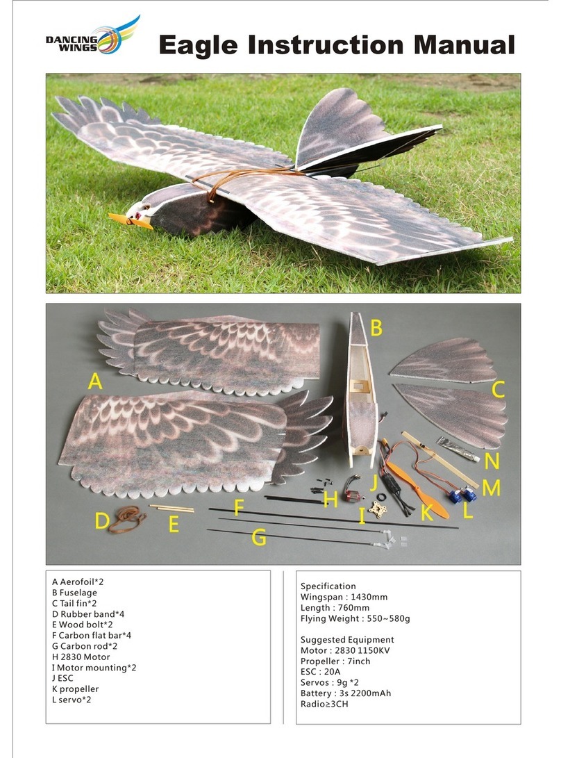 Dansing Wings Eagle instruction manual