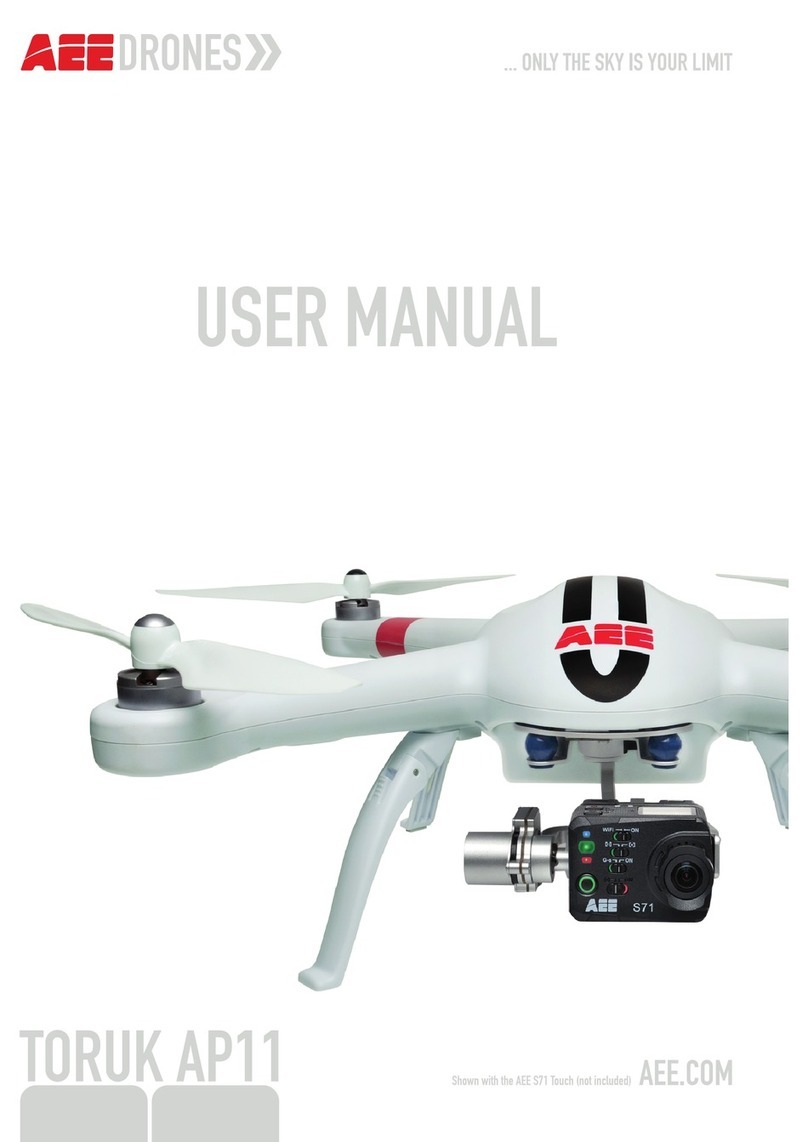 AEE TORUK AP11 User manual