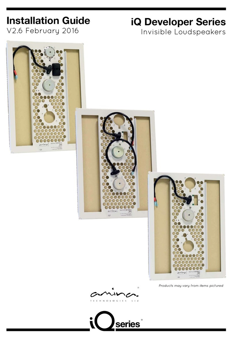 Amina iQ1 User manual