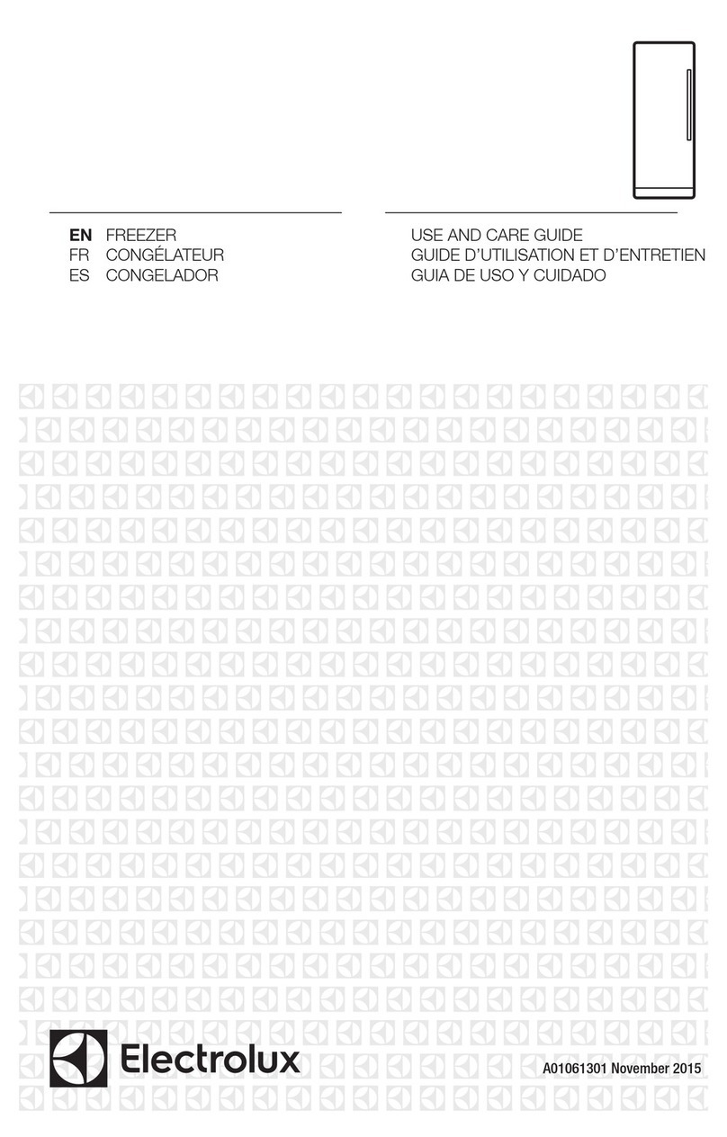 Electrolux A01061301 User manual