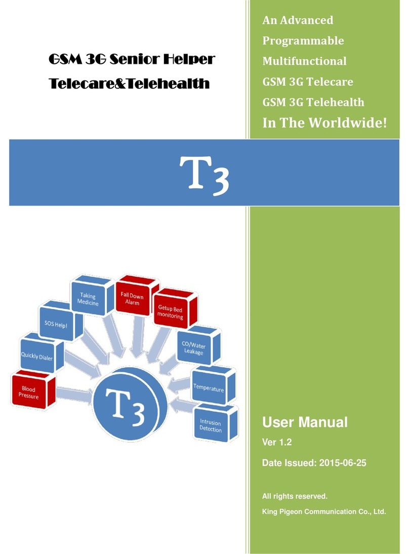 King Pigeon T3 user manual