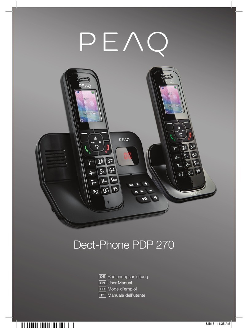 Peaq PDP 270 user manual
