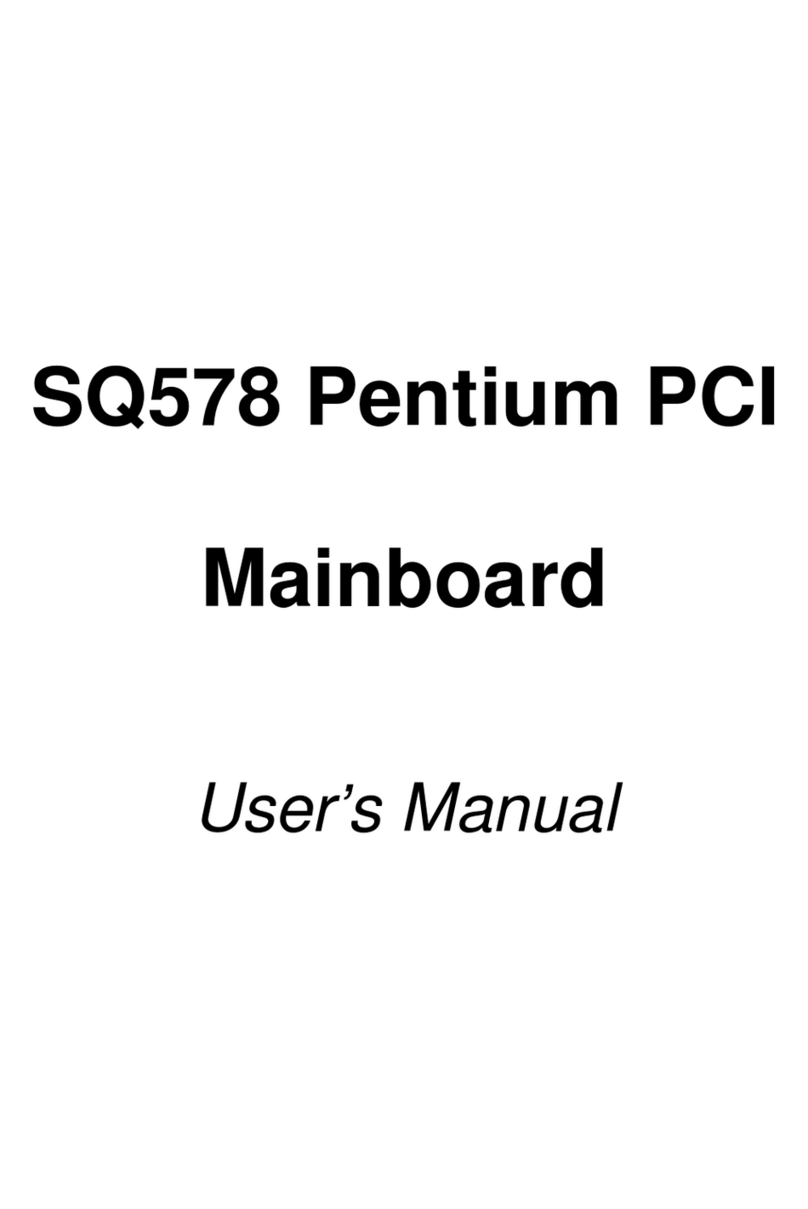 Pentium SQ578 user manual
